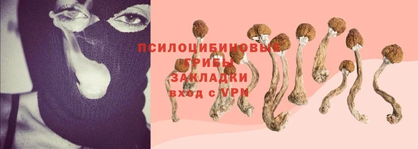 мяу мяу кристалл Лабытнанги