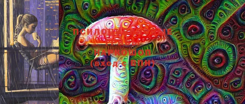 Псилоцибиновые грибы Magic Shrooms Бийск