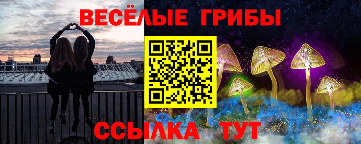 Галлюциногенные грибы MAGIC MUSHROOMS Бийск
