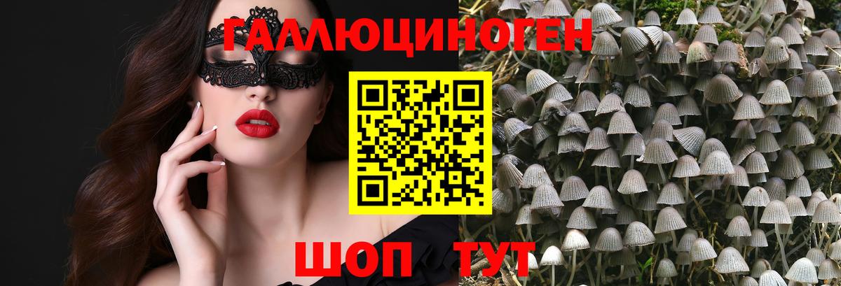 Псилоцибиновые грибы Magic Shrooms  Вход с VPN  Бийск  Галлюциногенные грибы мухоморы 