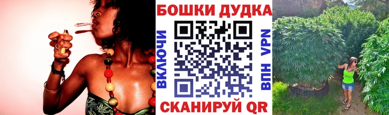 Бошки марихуана AK-47  где продают наркотики  Бийск 